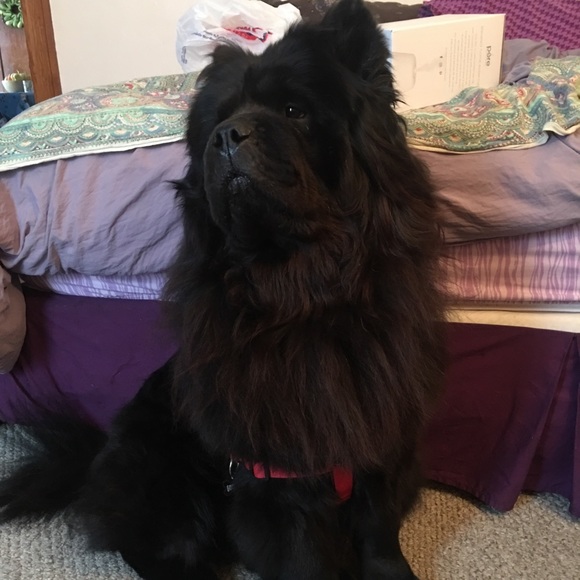 Meet your Posher, Catherine - Picture 3 of 6